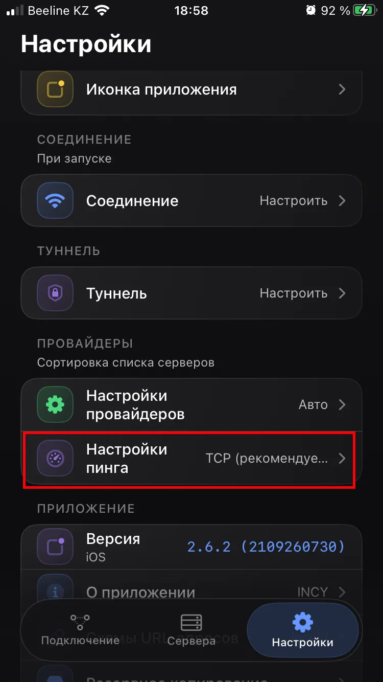 Пункт «Настройки пинга» в настройках INCY